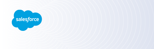 Security and Dynamic Masking for Salesforce