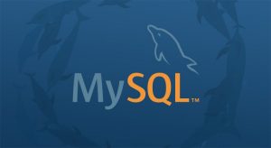 MySQL Database Security Best Practices