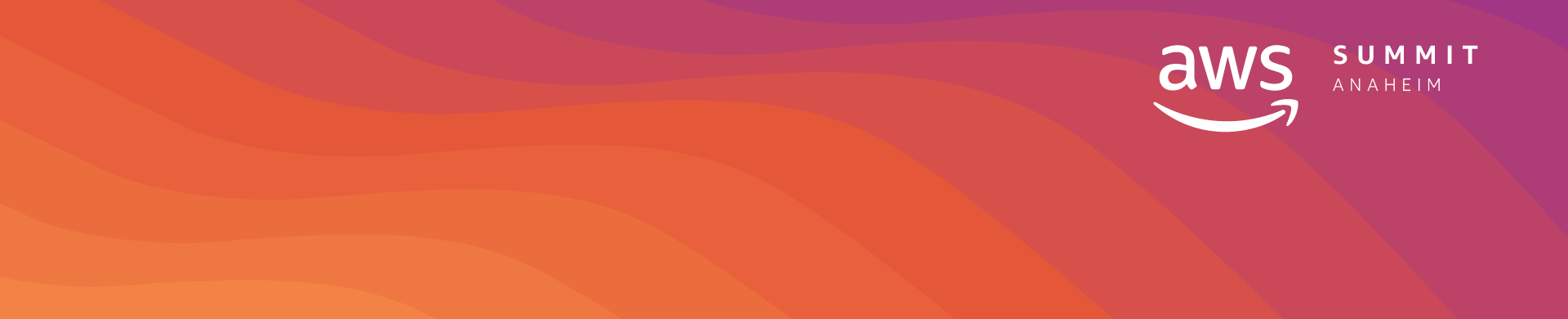 DataSunrise nimmt am AWS Summit 2019 teil