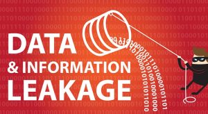 Data and Information Leakage