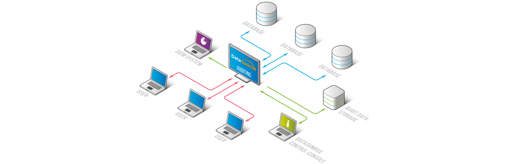 Audit guide