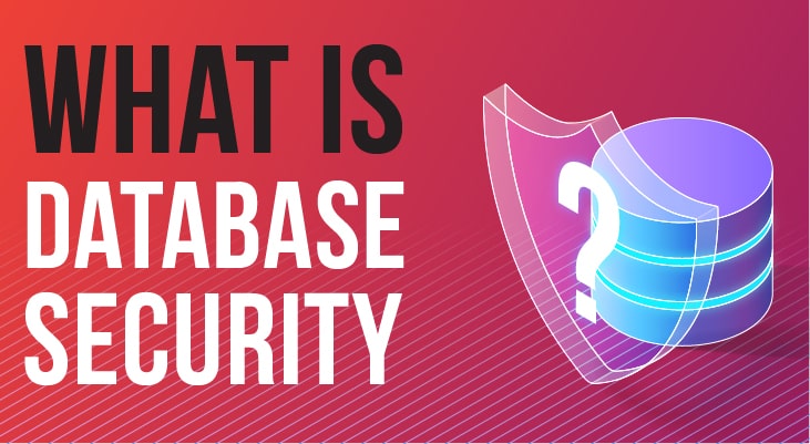 What is Database Security