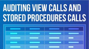 Auditing View Calls and Stored Procedures Calls