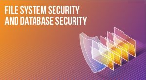 What Сan be Used to Provide Both File System Security and Database Security?