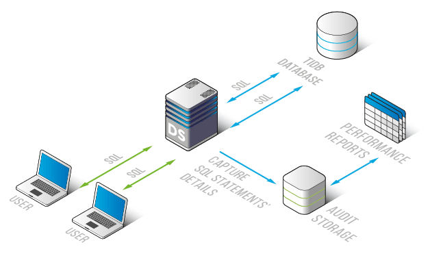 Database Performance Monitoring for TiDB