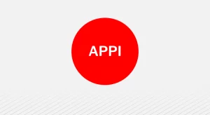 Ley de Protección de Información Personal (APPI)