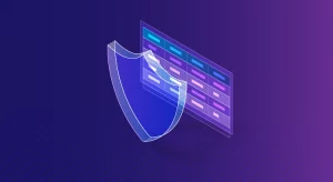 Data Protection Audits
