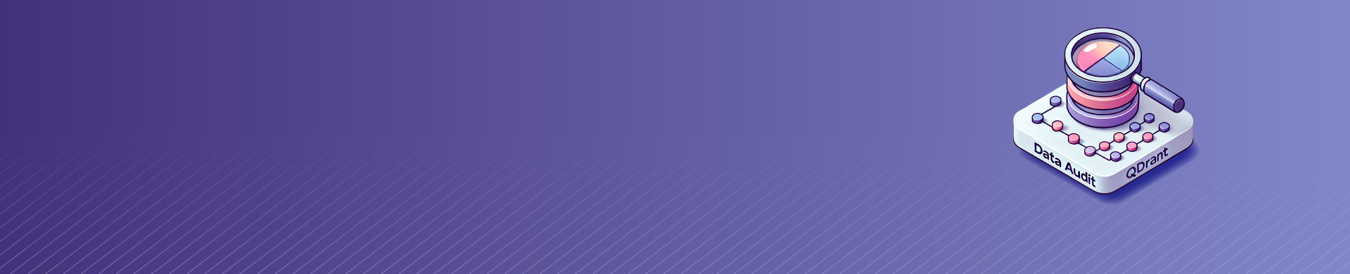 Data Audit for Qdrant