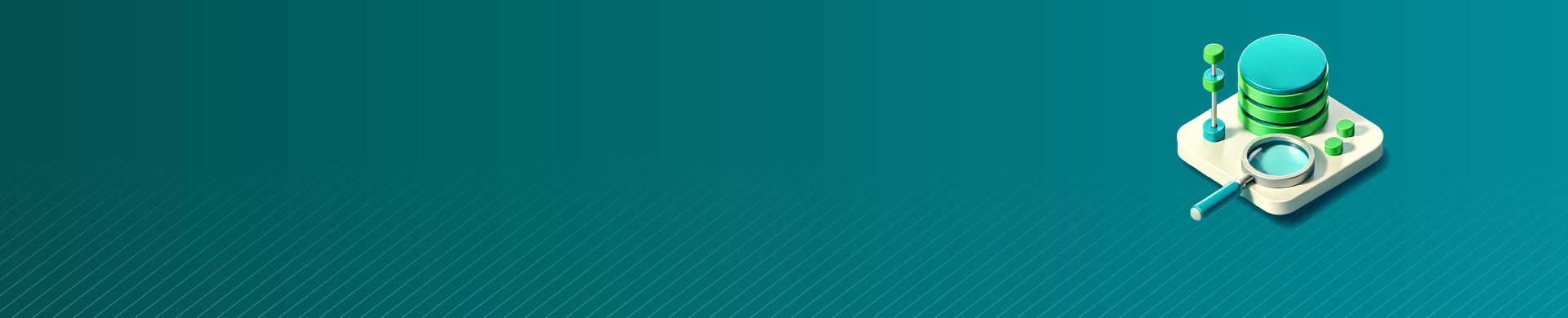 Datenbankprüfung für IBM Netezza