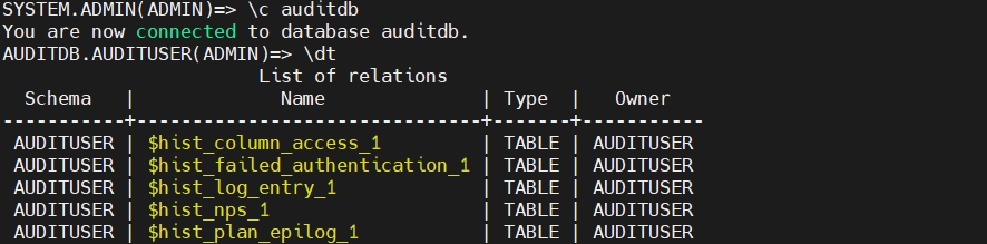 Netezza Database Table List