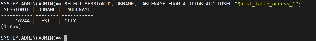 Audit Log Results