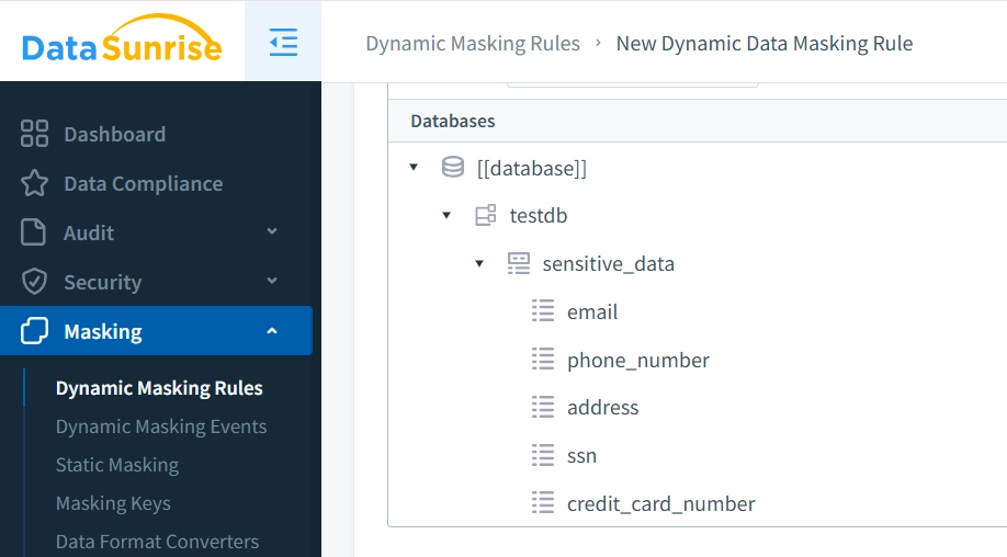 Erstellen von Regeln zur dynamischen Datenmaskierung in DataSunrise für die Informix Datenaktivitätshistorie