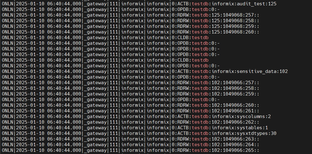 Beispiel für die onaudit-Toolausgabe im Terminal für Informix