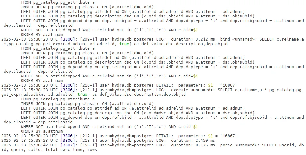 PostgreSQL audit log showing user queries with bind parameters and execution timings