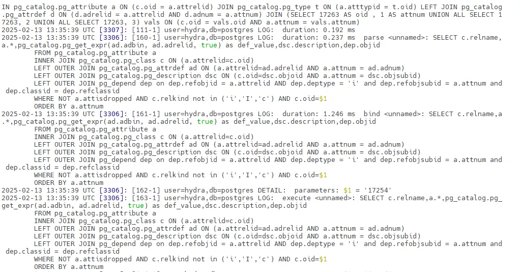 Hydra Audit Log - PostgreSQL log output with bind, execute, and parse actions recorded using pgaudit extension