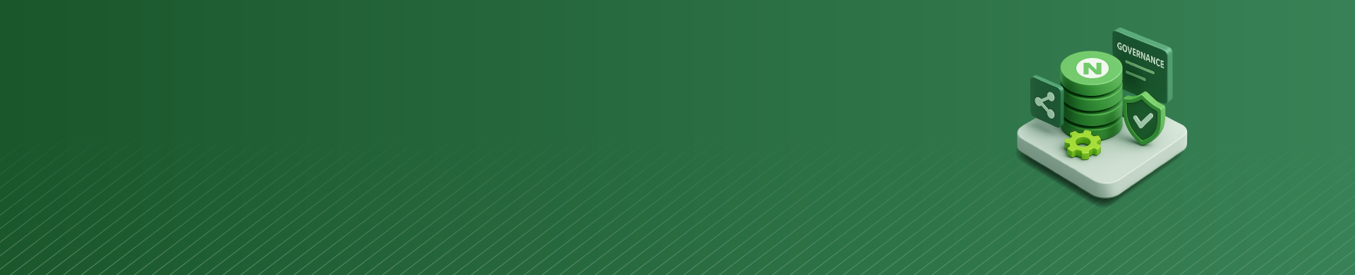 IBM Netezza Data Governance