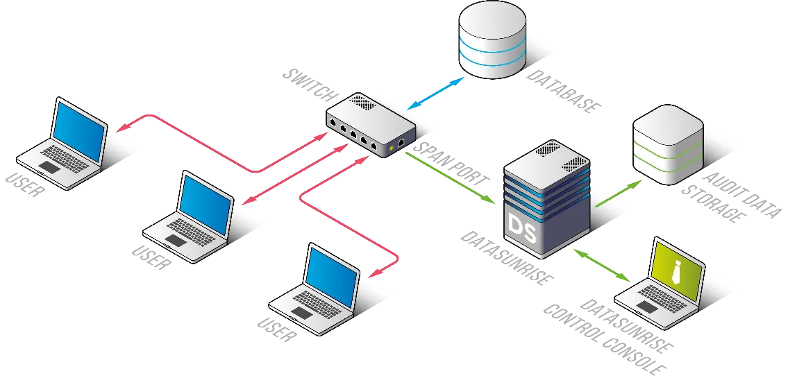 Microsoft SQL Server Data Governance - Database Topology in DataSunrise