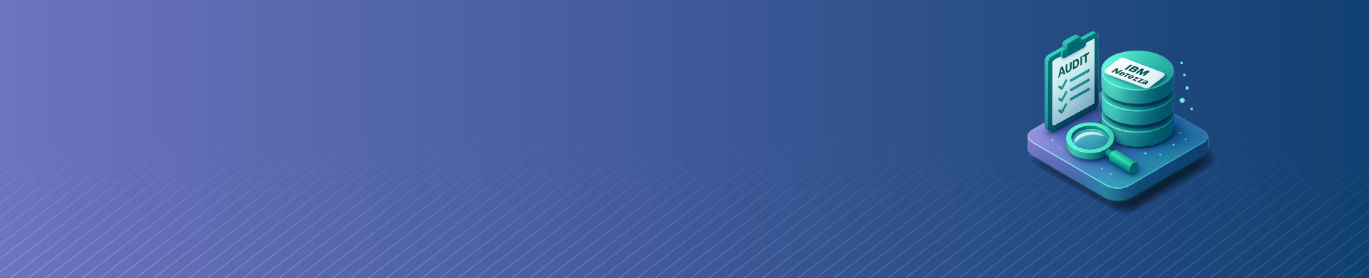 How to Audit IBM Netezza