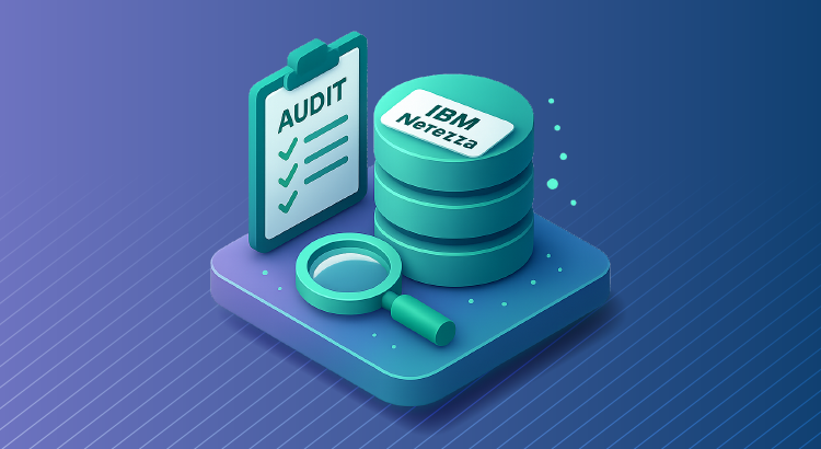 How to Audit IBM Netezza