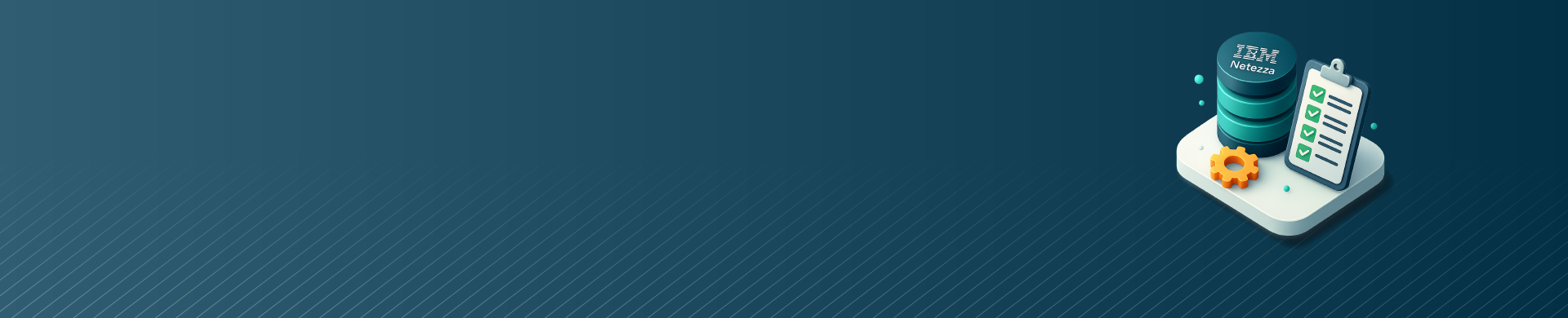 Outils d’audit IBM Netezza