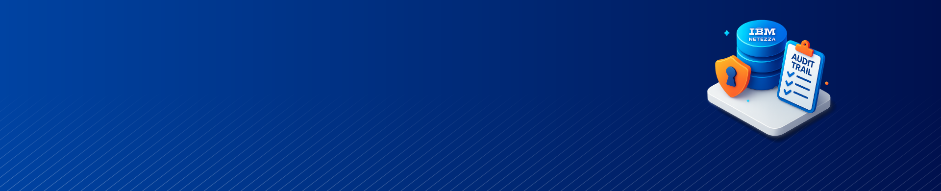 Was ist IBM Netezza Audit Trail