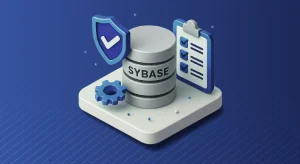 Sybase Data Compliance Automation