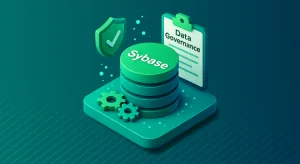 Sybase Data Governance