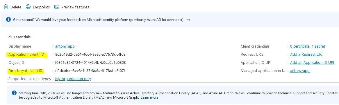 Azure-Anwendung – Client ID und Tenant ID