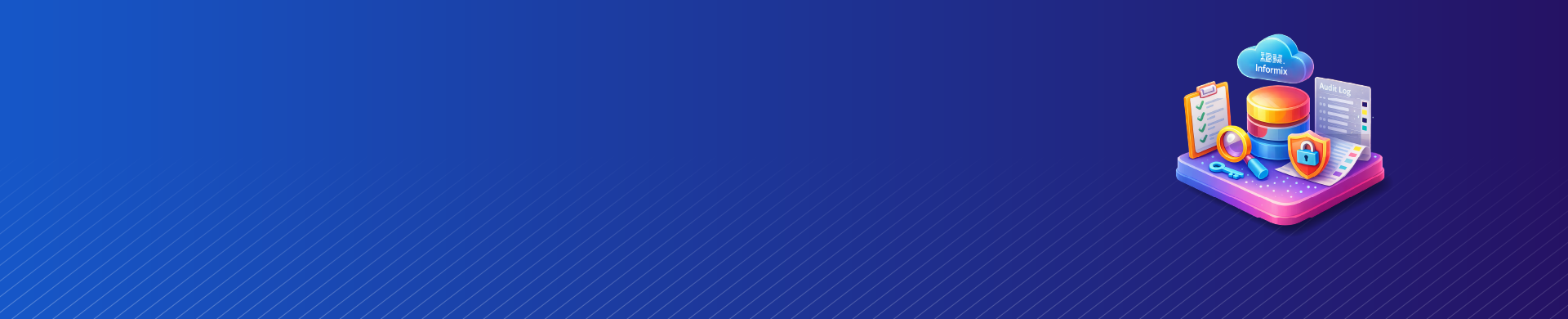 IBM Informix Audit Log