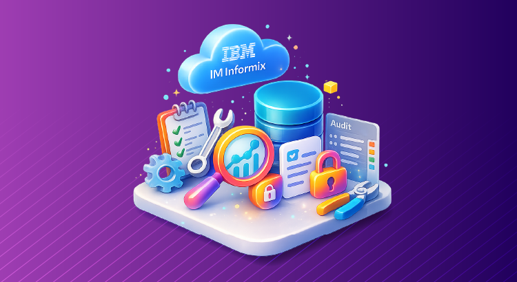 IBM Informix Audit Tools