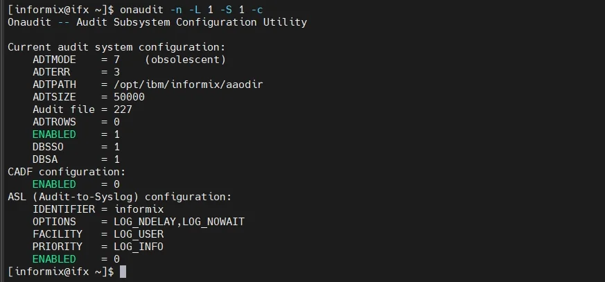 IBM Informix Audit Tools - Screenshot with no detectable text content