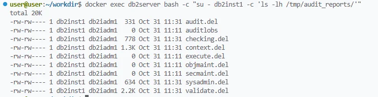 What Is IBM Db2 Audit Trail - Terminal output showing docker command execution and audit report files.