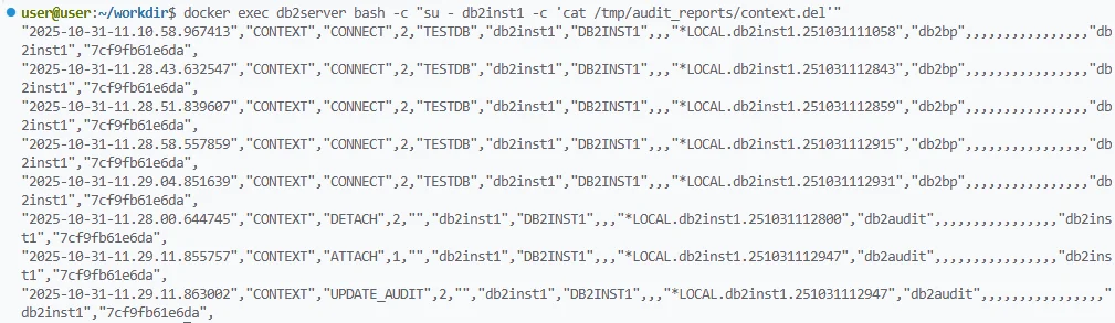 What Is IBM Db2 Audit Trail - Terminal screenshot displaying commands for accessing audit reports in a Docker container running IBM Db2.