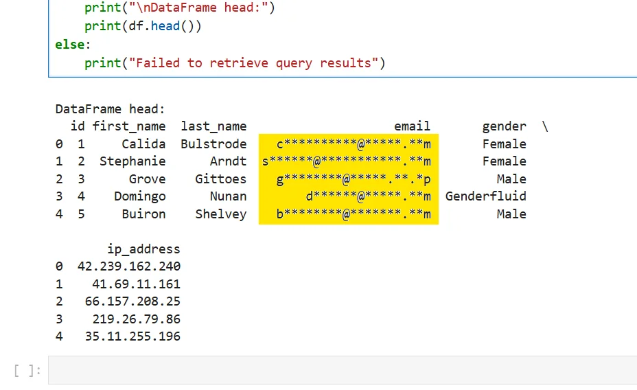 Untitled - Output showing Python code printing a DataFrame head with columns: id, first name, last name, email, gender; sample rows include first names such as Calida and Stephanie with last names like Bui strode, Arndt, Gittoes, Nunan, Shelvey and genders Female or Genderfluid. The image also contains a snippet that prints an error path: Failed to retrieve query results.